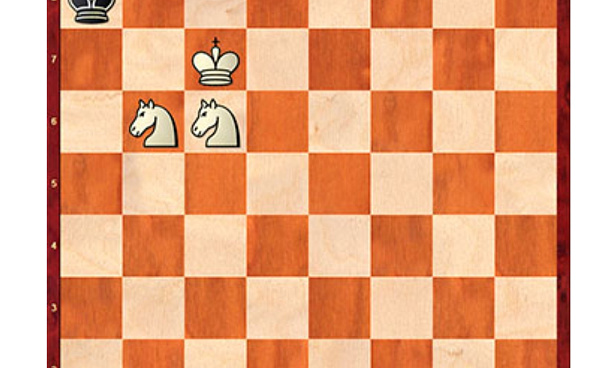 Шахматный урок